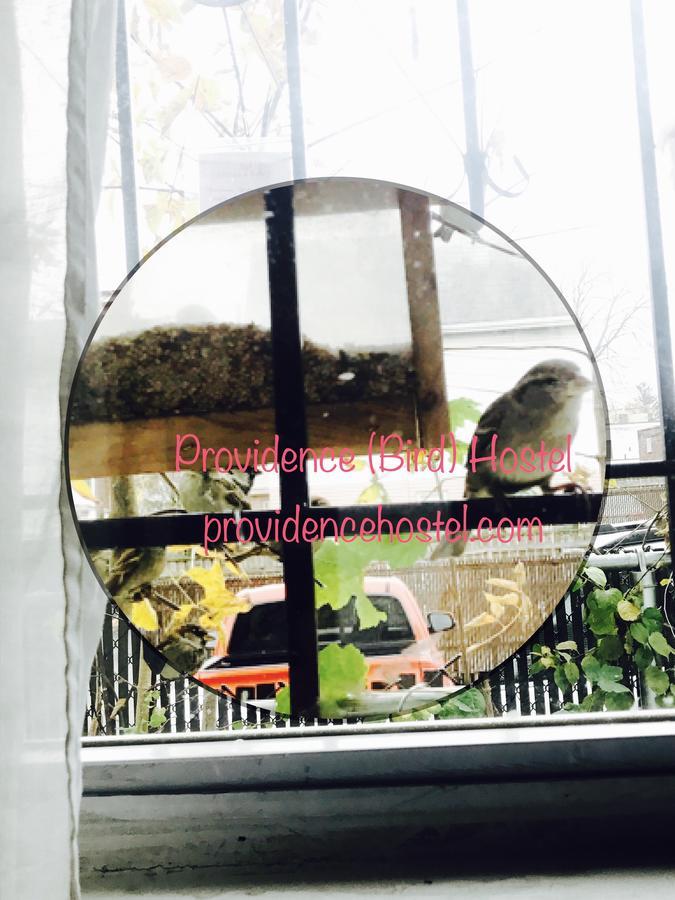 Providence Hostel & Guest House Exterior photo